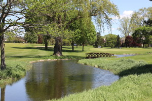 A pond that is flowing through a golf course.