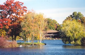 The outside of a house on a lake by trees.