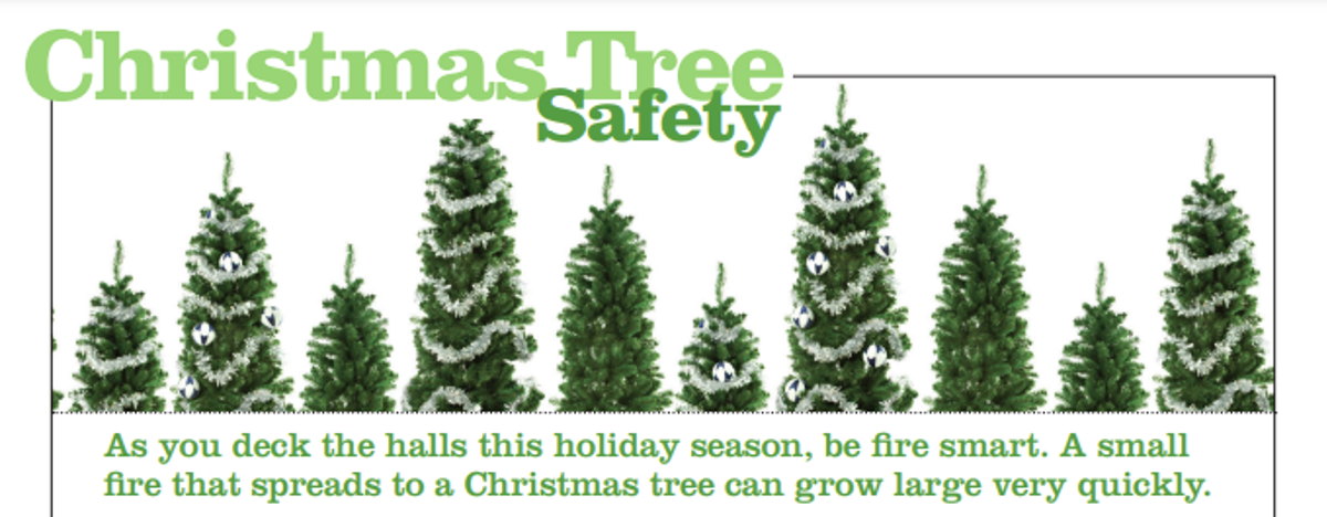 Various decorated Christmas Trees for a Christmas Tree Safety warning. 